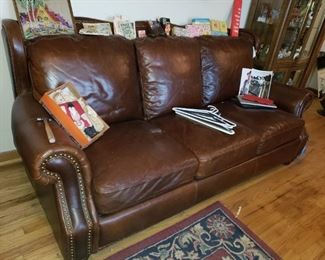 Elegant Leather Couch adult funnies