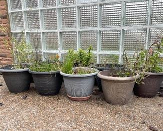 Flower Pots / Planters
