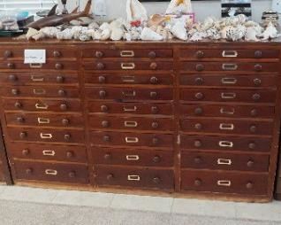 Specimen cabinets and a type-set cabinet