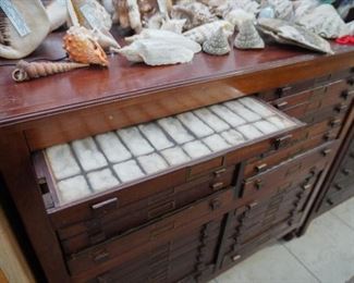 Specimen cabinet