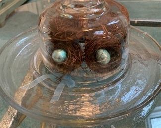 birds nest under glass with blue eggs 