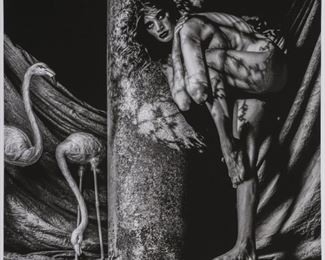 1068
Yuri Dojc
b. 1946, Canadian
"Flamingo"
Photographic print on Hahnemuhle photo rag paper
Edition 2/5; signed lower right: Yuri Dojc; with the artist's blindstamp lower left
Image: 30" H x 30" W; Sheet: 36" H x 36" W
Estimate: $1,500 - $2,000