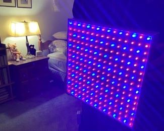 We have two HABA red/blue light therapy squares - supposedly good for improving skin issues.