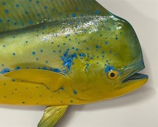 Catch & Release Dolphin Fish Mount. Measures 51" W. Photo 2 of 2. 