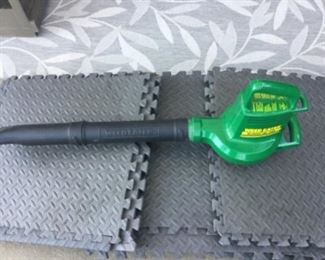 Weed eater blower, electric, ever have to deal with charging the battery up at the least convenient time again!