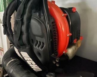 Echo Blower