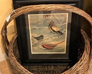 Framed bird art