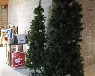 BIG CHRISTMAS TREES