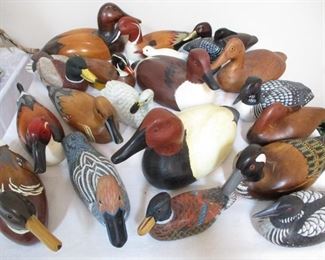 LOTS OF DUCK DECOYS