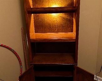 Lighted Bookcase