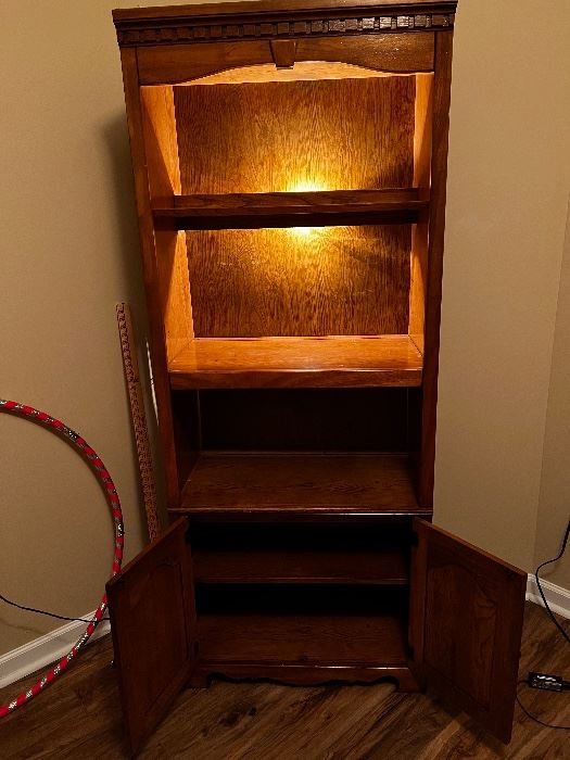 Lighted Bookcase