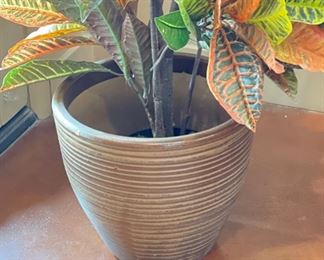 Lg Ceramic Pot Faux Plant	54 inches high	
