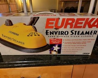 Eureka Steam Cleaner