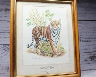 Vintage Bengal Tiger Framed Print Signed
