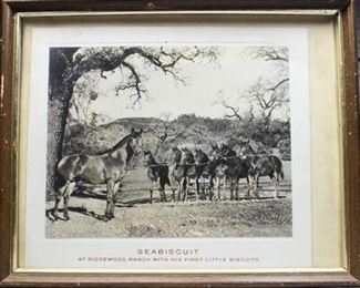Vintage Framed Picture of Seabiscuit with His First Little Biscuits
