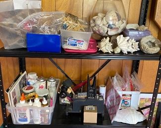 Shells and crafting Supplies