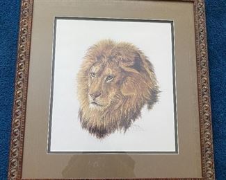 African Lion by Bonnie Marris