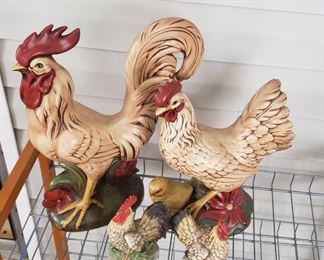 Chicken family