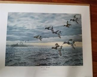 1986 Ducks Unlimited print, “November Bluebills”, by Buzz Balzer, Ducks Unlimited companion artist