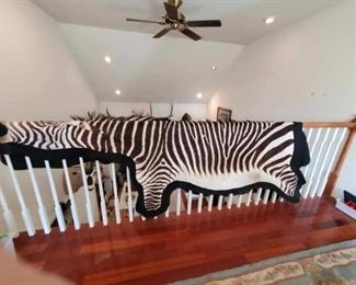Mountain Zebra rug