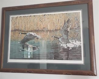 Waterfowl print