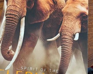Book - The Spirit of the Elephant