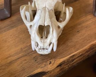 BOBCATSKULL