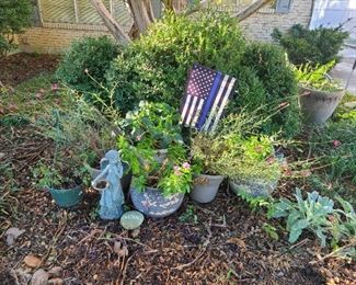 A Garden Assortment Of Potted Plants, Etc.