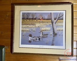 Signed Limited Edition Framed Print "Backwater Pintails" by Neal Anderson