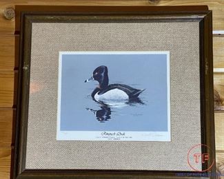 Signed Limited Edition Framed Print "Ringneck Duck" by Neal Anderson