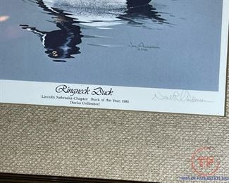 Signed Limited Edition Framed Print "Ringneck Duck" by Neal Anderson