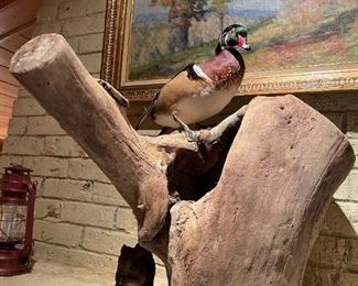 Taxidermy Duck on Wood Stump