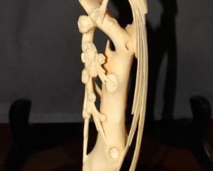 Bird with Red Ruby Eye on Branch