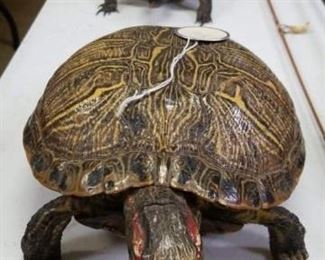 Taxidermied turtles, rods with reels