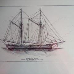  Milwaukee Belle Sank off Beaver Island 1886