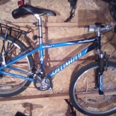Hotrock Adult Specialized Bicycle
