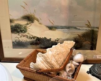 Framed beach art by Windberg; shells