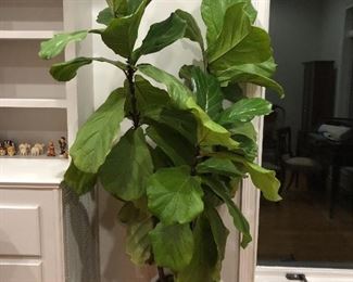 Cash & Local check accepted. ALL SALES ARE FINAL. Bring Help to Load Furniture and other Large Items.