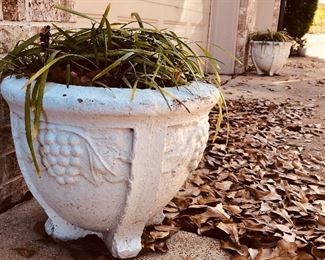 Fantastic selection of planters and pots