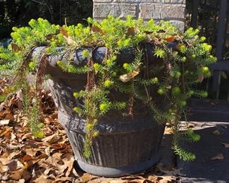 Fantastic selection of planters and pots