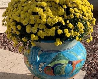 Live Floral in Decorative Pot (3-pc)