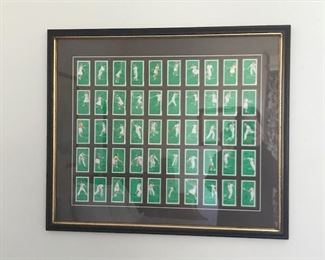 Framed tennis sports trading cards