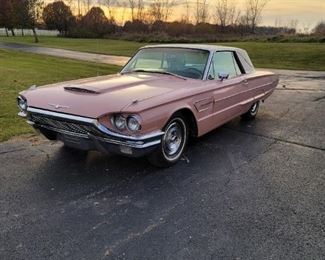 PINK THUNDERBIRD
