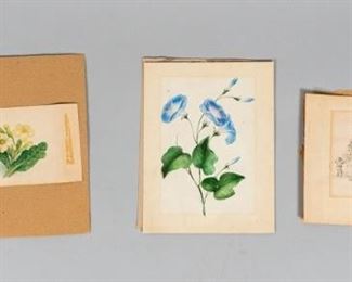 2	Collection of 18th Century Watercolors	2 18th century watercolors. A painting of primroses with accompanying hand written poem on the verso. 3 1/4" H x 6 1/2" W. Foxing to the edge of the paper, creases from framing, tape residue. A painting of blue flowers. 8" H x 6" W. Foxing from framing. Originally mounted on board. Additionally a pen and ink drawing. 6" H x 5 1/2" W. Foxing from framing. The drawing and primrose painting come with notes on the board they were packed in. The artist was a man named Brown who was employed by the Royal Worcester Porcelain factory in the 18th Century. From the collection of the Salmagundi Club.

