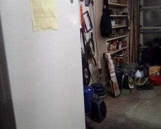 Freezer (will need some work)