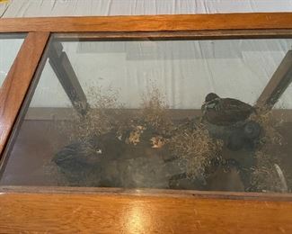 Hand Crafted Coffee Table with Encased Pheasants