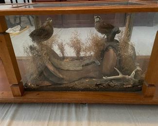 Hand Crafted Coffee Table with Encased Pheasants