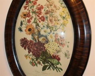 Vintage Framed Botanical Prints