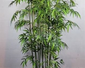 6 Foot Plus bamboo tree
