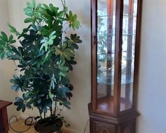 Lighted curio cabinet